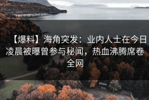 【爆料】海角突发：业内人士在今日凌晨被曝曾参与秘闻，热血沸腾席卷全网
