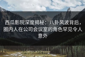 西瓜影院深度揭秘：八卦风波背后，圈内人在公司会议室的角色罕见令人意外