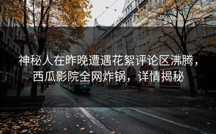 神秘人在昨晚遭遇花絮评论区沸腾，西瓜影院全网炸锅，详情揭秘