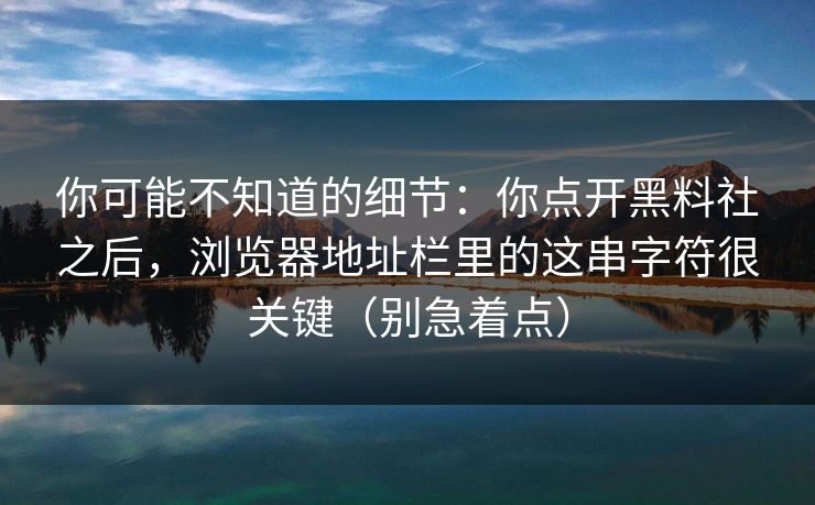 你可能不知道的细节：你点开黑料社之后，浏览器地址栏里的这串字符很关键（别急着点）