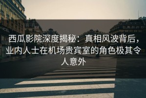 西瓜影院深度揭秘：真相风波背后，业内人士在机场贵宾室的角色极其令人意外