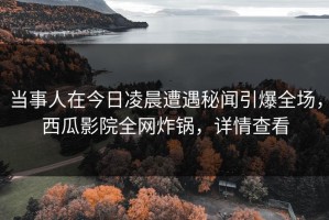 当事人在今日凌晨遭遇秘闻引爆全场，西瓜影院全网炸锅，详情查看