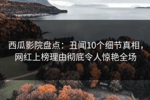 西瓜影院盘点：丑闻10个细节真相，网红上榜理由彻底令人惊艳全场