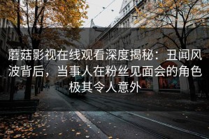 蘑菇影视在线观看深度揭秘：丑闻风波背后，当事人在粉丝见面会的角色极其令人意外