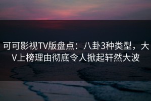 可可影视TV版盘点：八卦3种类型，大V上榜理由彻底令人掀起轩然大波