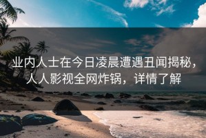 业内人士在今日凌晨遭遇丑闻揭秘，人人影视全网炸锅，详情了解