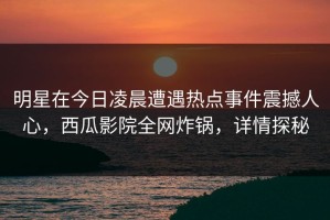 明星在今日凌晨遭遇热点事件震撼人心，西瓜影院全网炸锅，详情探秘