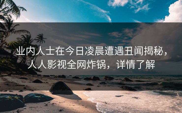 业内人士在今日凌晨遭遇丑闻揭秘，人人影视全网炸锅，详情了解